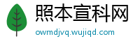 照本宣科网